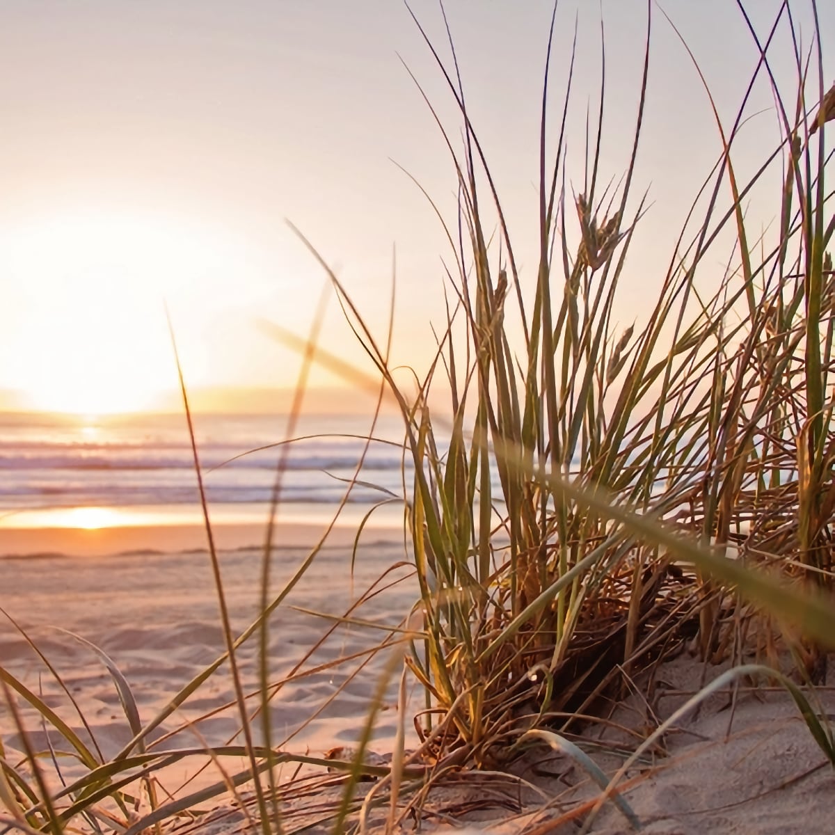 White Sands