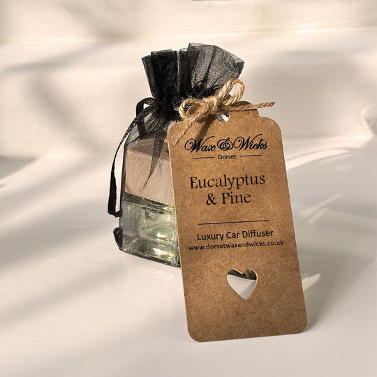 Eucalyptus & Pine Car Diffuser