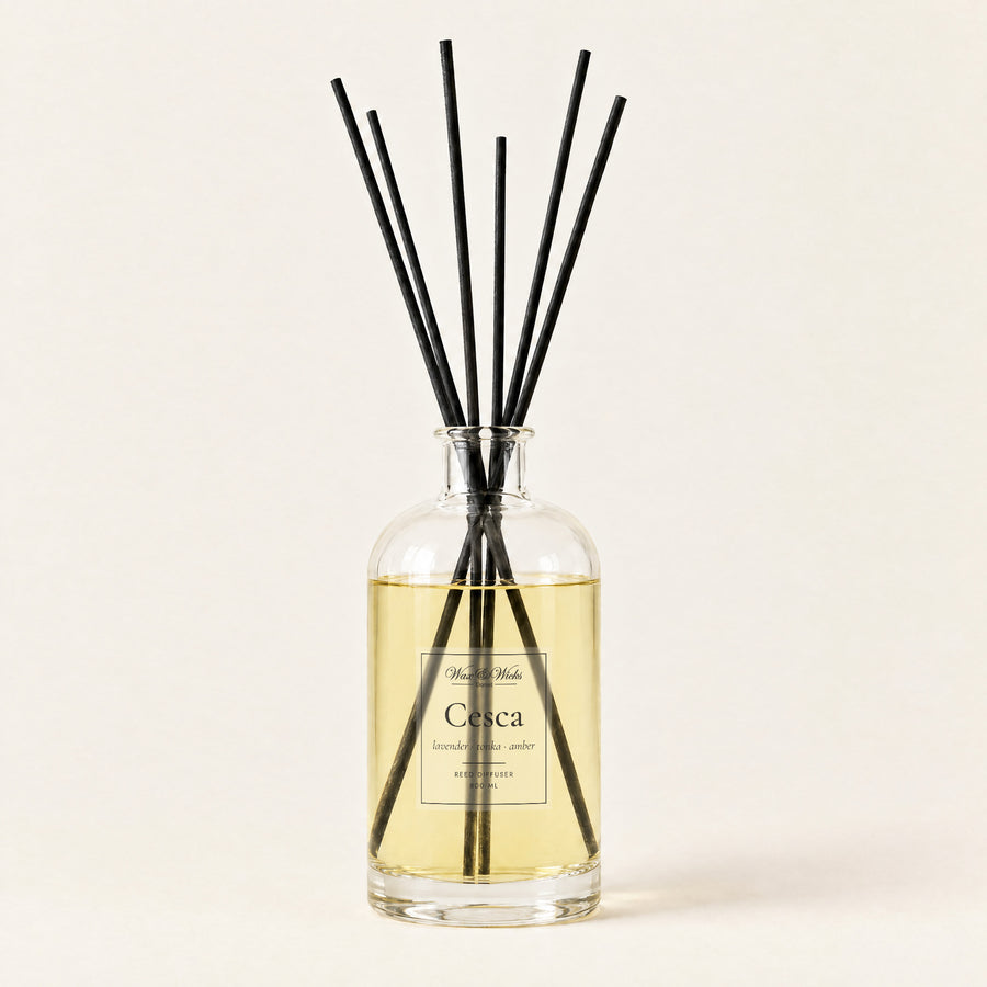 Cesca 800 ml large reed diffuser in apothecary-style glass with extra-long reeds, on a plain ivory background