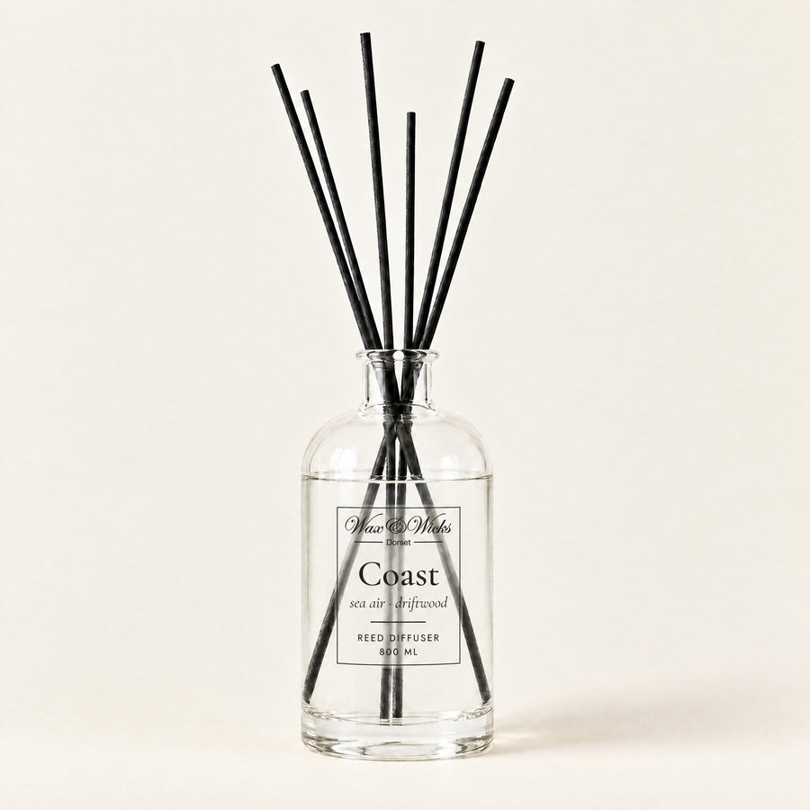 Coast 800 ml large reed diffuser in apothecary-style glass with extra-long reeds, on a plain ivory background