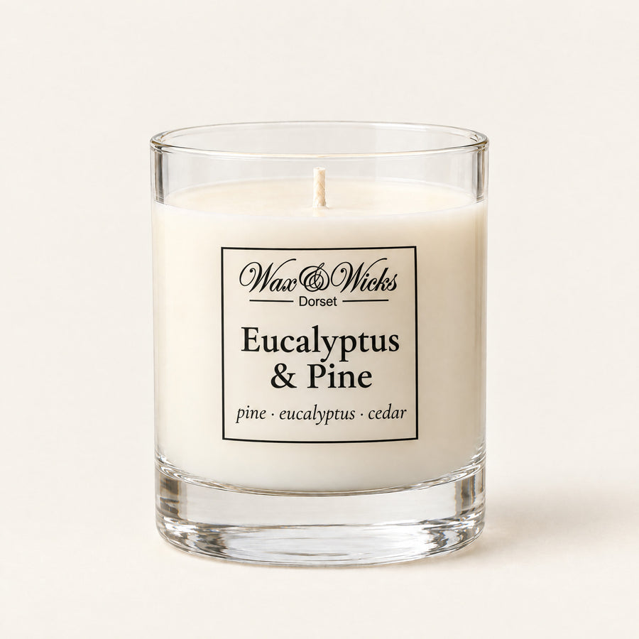 Small Eucalyptus & Pine candle, one wick, in a clear glass jar, on a plain ivory background