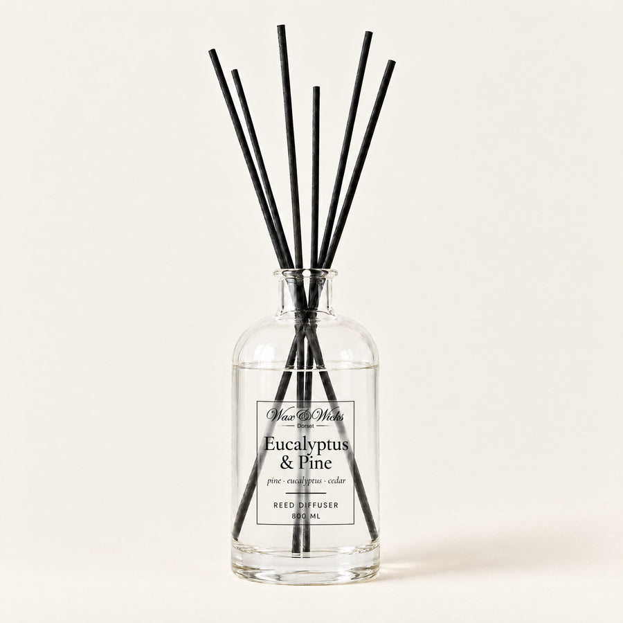 Eucalyptus & Pine 800 ml large reed diffuser in apothecary-style glass with extra-long reeds, on a plain ivory background