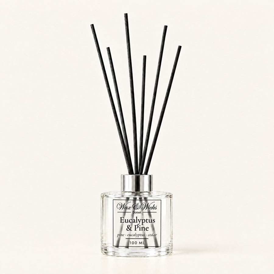 Eucalyptus & Pine 100 ml reed diffuser with black fibre reeds, on a plain ivory background