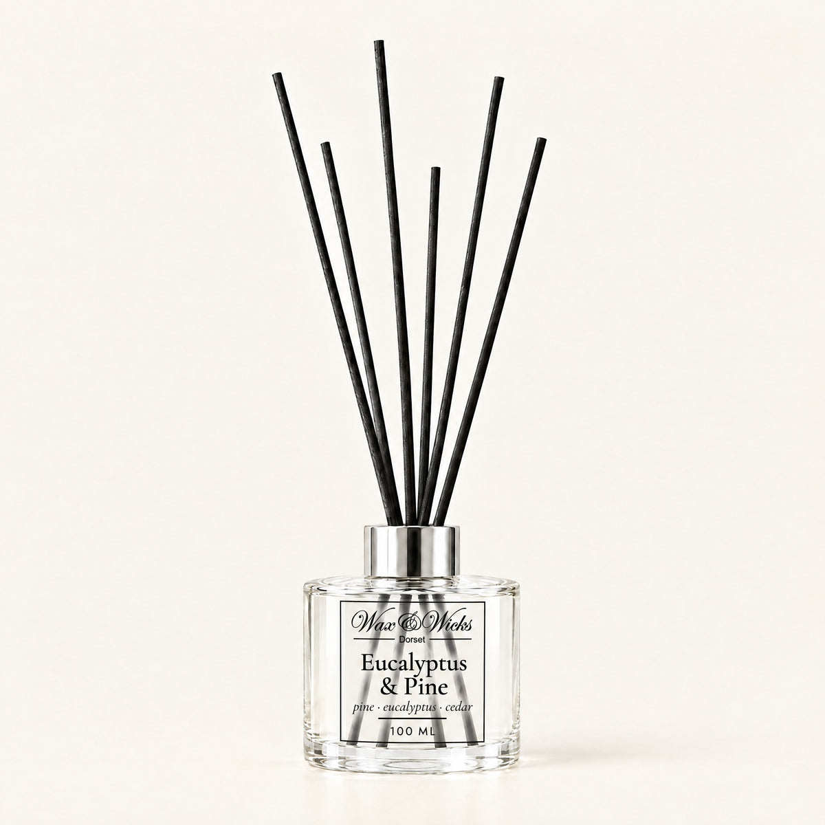 Eucalyptus & Pine 100 ml reed diffuser with black fibre reeds, on a plain ivory background